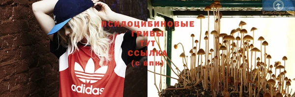 ECSTASY Бугульма